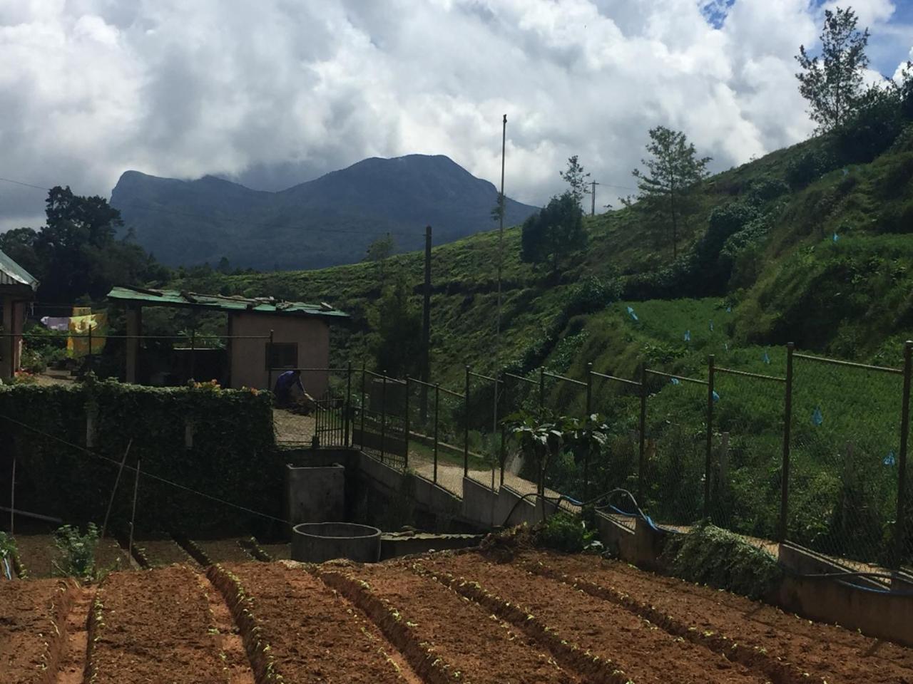 Chandrasobana Nuwara Eliya Exterior foto